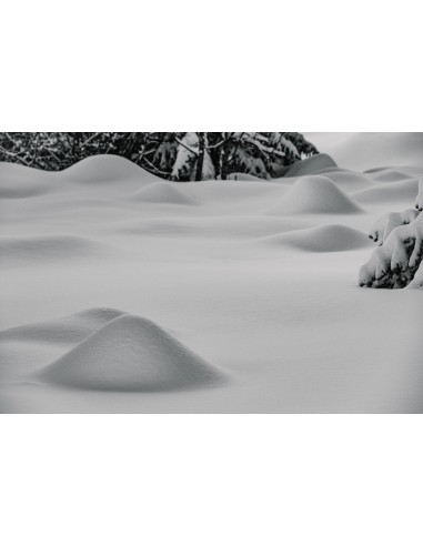 La forme de la neige (I) Fin de série