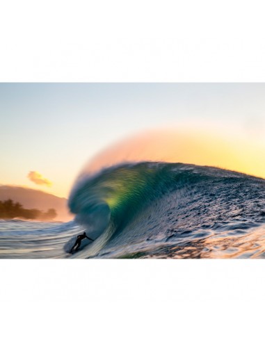 Zak Noyle - Green Light offre 