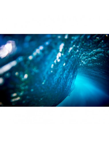 Zak Noyle - Underwater Comparez et commandez 