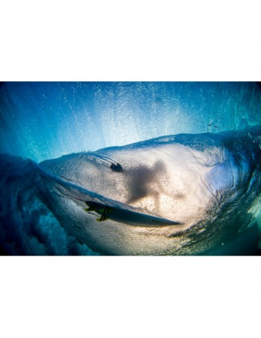 Zak Noyle - Curl la colonne vertébrale