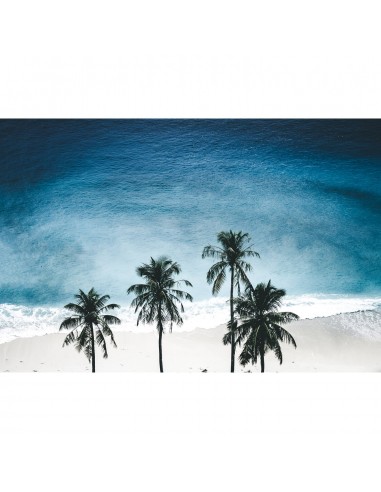 Jeremie Kerchrom - Ocean Palmtree online